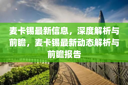 麥卡錫最新信息，深度解析與前瞻，麥卡錫最新動態(tài)解析與前瞻報告