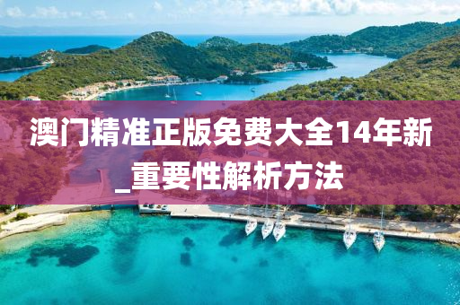 澳門精準(zhǔn)正版免費(fèi)大全14年新_重要性解析方法