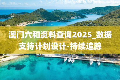 澳門(mén)六和資料查詢(xún)2025_數(shù)據(jù)支持計(jì)劃設(shè)計(jì)-持續(xù)追蹤