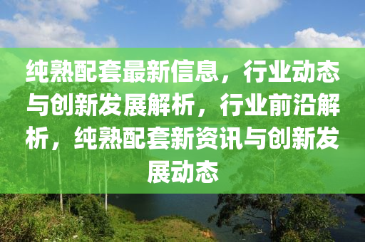 純熟配套最新信息，行業(yè)動(dòng)態(tài)與創(chuàng)新發(fā)展解析，行業(yè)前沿解析，純熟配套新資訊與創(chuàng)新發(fā)展動(dòng)態(tài)