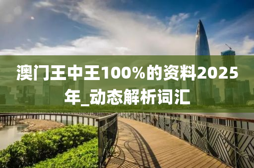 澳門(mén)王中王100%的資料2025年_動(dòng)態(tài)解析詞匯