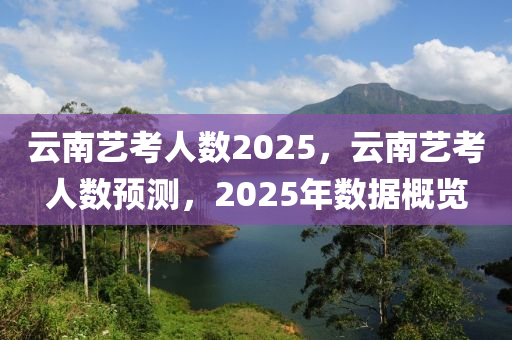 云南藝考人數(shù)2025，云南藝考人數(shù)預測，2025年數(shù)據(jù)概覽