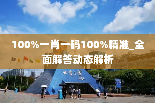 100%一肖一碼100%精準(zhǔn)_全面解答動態(tài)解析