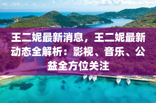 王二妮最新消息，王二妮最新動(dòng)態(tài)全解析：影視、音樂(lè)、公益全方位關(guān)注