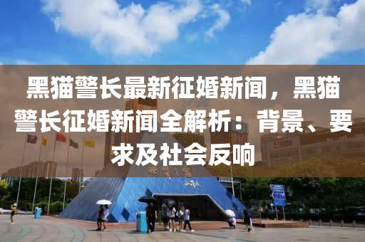 黑貓警長最新征婚新聞，黑貓警長征婚新聞全解析：背景、要求及社會反響