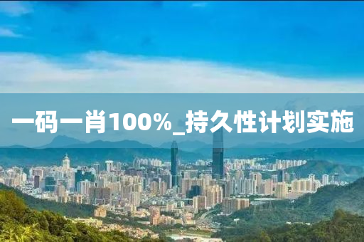 一碼一肖100%_持久性計劃實施