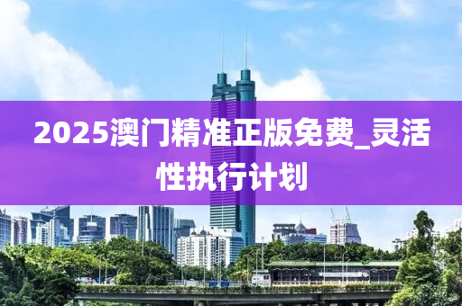 2025澳門精準(zhǔn)正版免費(fèi)_靈活性執(zhí)行計劃