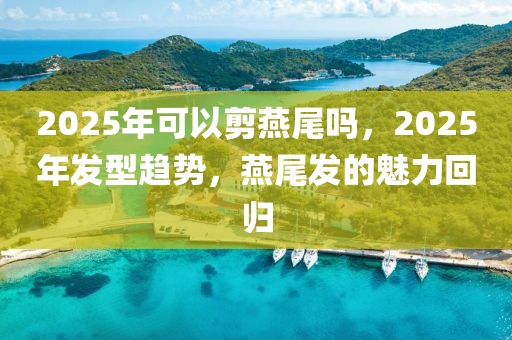 2025年可以剪燕尾嗎，2025年發(fā)型趨勢，燕尾發(fā)的魅力回歸