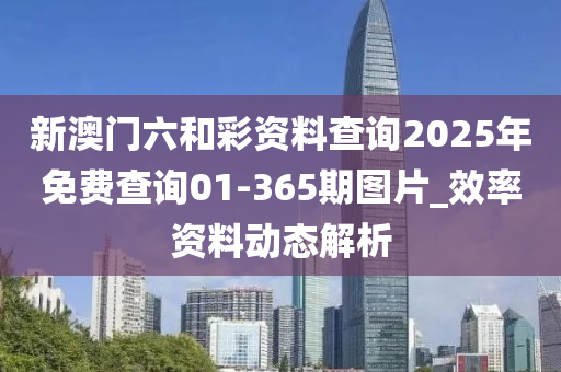 新澳門六和彩資料查詢2025年免費(fèi)查詢01-365期圖片_效率資料動(dòng)態(tài)解析