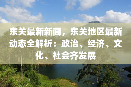 東關(guān)最新新聞，東關(guān)地區(qū)最新動態(tài)全解析：政治、經(jīng)濟、文化、社會齊發(fā)展