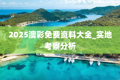 2025澳彩免費資料大全_實地考察分析