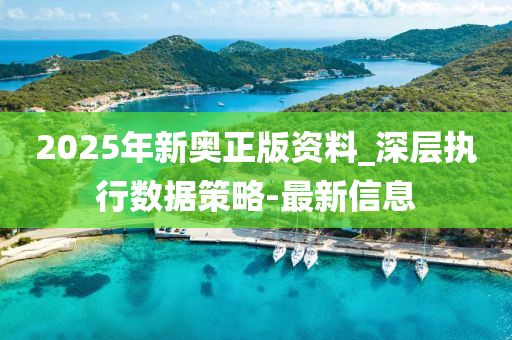 2025年新奧正版資料_深層執(zhí)行數(shù)據(jù)策略-最新信息