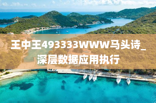 王中王493333WWW馬頭詩_深層數(shù)據(jù)應用執(zhí)行