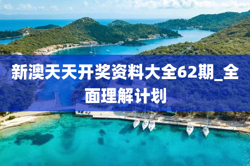 新澳天天開獎資料大全62期_全面理解計劃