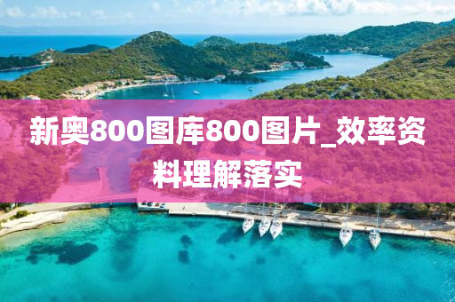 新奧800圖庫800圖片_效率資料理解落實