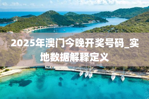 2025年澳門今晚開獎號碼_實地數(shù)據(jù)解釋定義