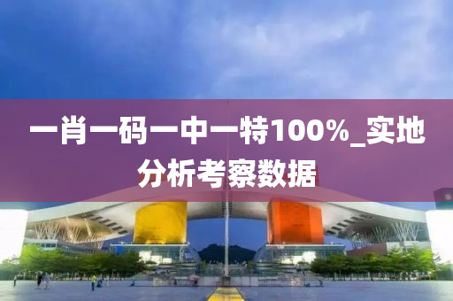 一肖一碼一中一特100%_實地分析考察數(shù)據(jù)