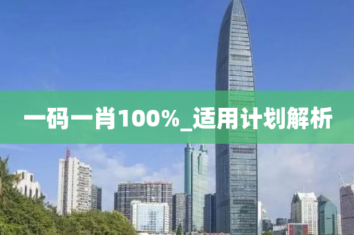 一碼一肖100%_適用計(jì)劃解析