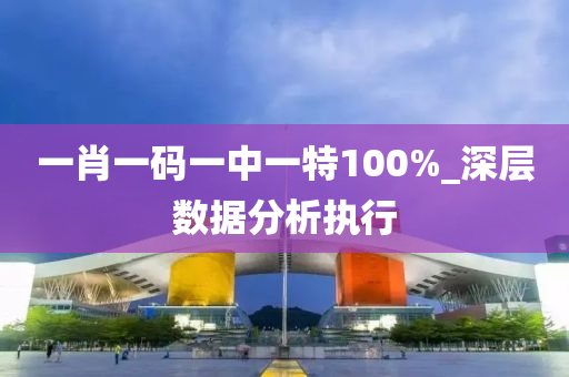 一肖一碼一中一特100%_深層數(shù)據(jù)分析執(zhí)行