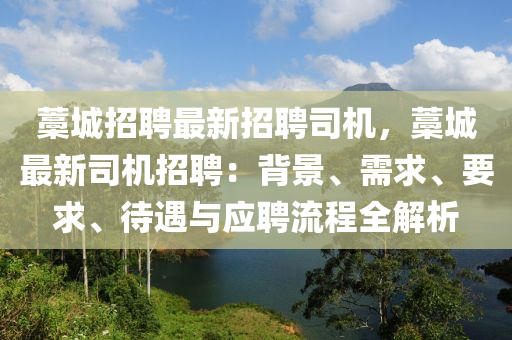 藁城招聘最新招聘司機(jī)，藁城最新司機(jī)招聘：背景、需求、要求、待遇與應(yīng)聘流程全解析