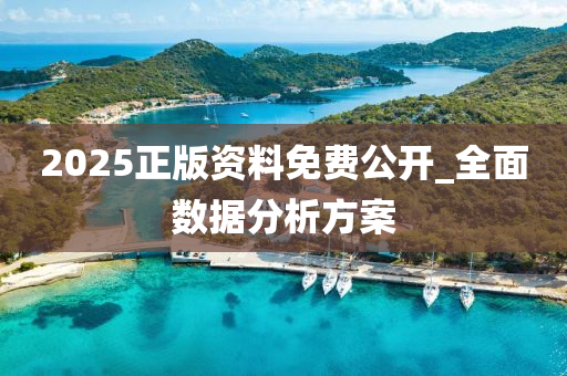 2025正版資料免費公開_全面數(shù)據(jù)分析方案