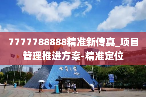 7777788888精準(zhǔn)新傳真_項目管理推進方案-精準(zhǔn)定位