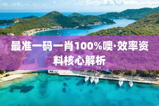 最準(zhǔn)一碼一肖100%噢·效率資料核心解析