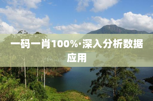 一碼一肖100%·深入分析數(shù)據(jù)應(yīng)用