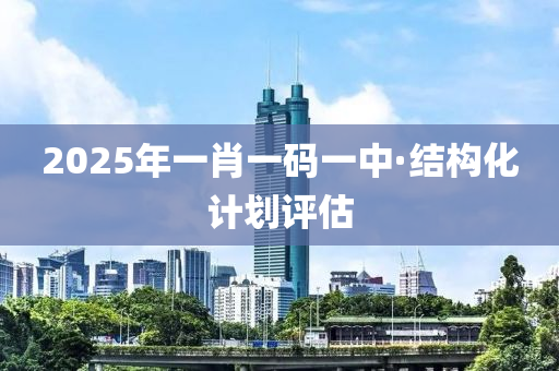 2025年一肖一碼一中·結(jié)構(gòu)化計劃評估