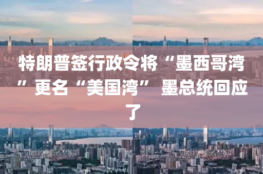 特朗普簽行政令將“墨西哥灣”更名“美國灣” 墨總統(tǒng)回應(yīng)了