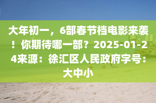 大年初一，6部春節(jié)檔電影來(lái)襲！你期待哪一部？2025-01-24來(lái)源：徐匯區(qū)人民政府字號(hào)：大中小