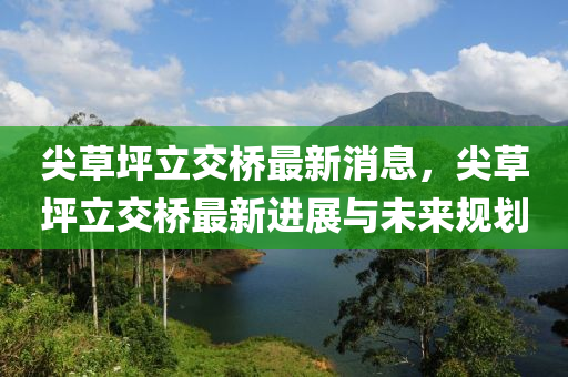 尖草坪立交橋最新消息，尖草坪立交橋最新進(jìn)展與未來規(guī)劃