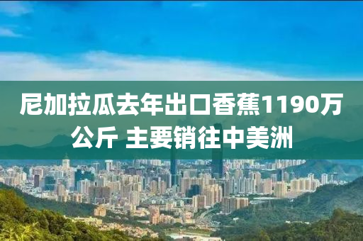 尼加拉瓜去年出口香蕉1190萬(wàn)公斤 主要銷往中美洲