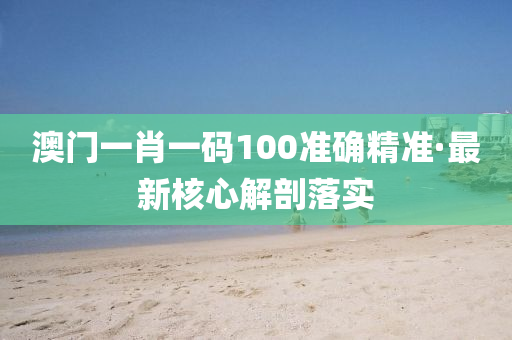 澳門一肖一碼100準確精準·最新核心解剖落實