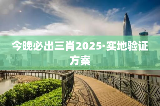 今晚必出三肖2025·實地驗證方案