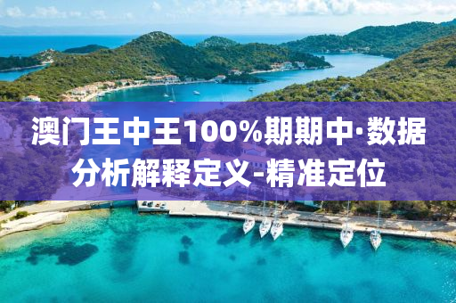 澳門王中王100%期期中·數(shù)據(jù)分析解釋定義-精準(zhǔn)定位