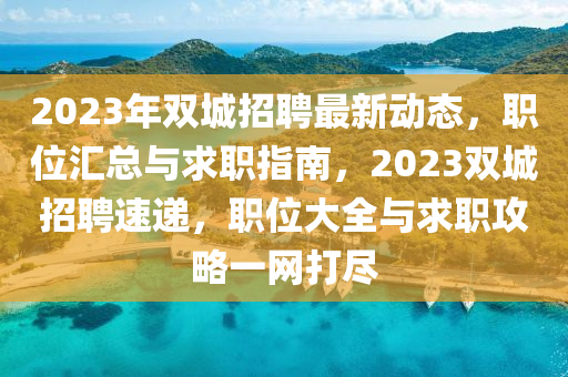 2023年雙城招聘最新動態(tài)，職位匯總與求職指南，2023雙城招聘速遞，職位大全與求職攻略一網(wǎng)打盡