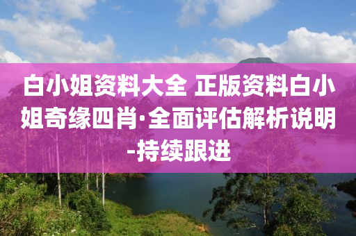 白小姐資料大全 正版資料白小姐奇緣四肖·全面評估解析說明-持續(xù)跟進(jìn)