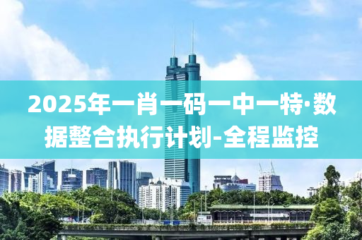 2025年一肖一碼一中一特·數(shù)據(jù)整合執(zhí)行計(jì)劃-全程監(jiān)控