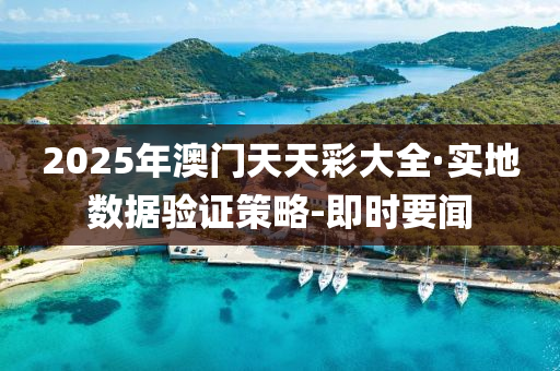 2025年澳門天天彩大全·實地數(shù)據(jù)驗證策略-即時要聞