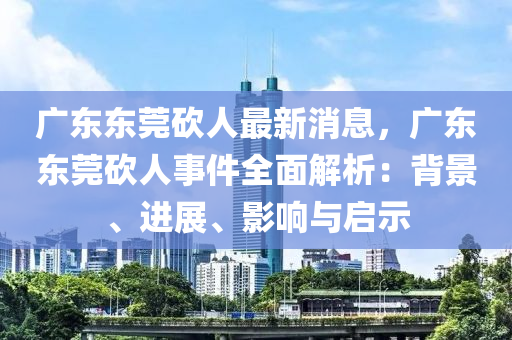 廣東東莞砍人最新消息，廣東東莞砍人事件全面解析：背景、進(jìn)展、影響與啟示