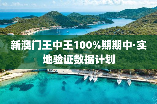 新澳門王中王100%期期中·實地驗證數(shù)據(jù)計劃