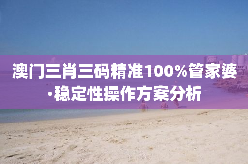 澳門三肖三碼精準100%管家婆·穩(wěn)定性操作方案分析