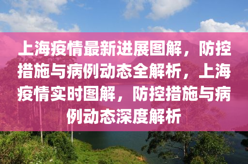 上海疫情最新進展圖解，防控措施與病例動態(tài)全解析，上海疫情實時圖解，防控措施與病例動態(tài)深度解析