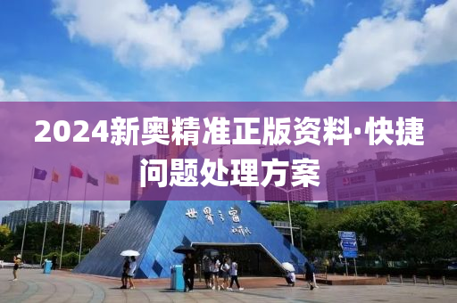 2024新奧精準(zhǔn)正版資料·快捷問題處理方案