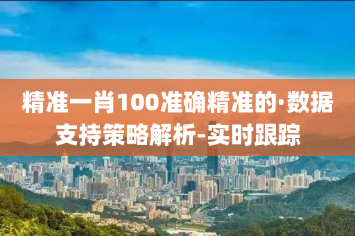 精準一肖100準確精準的·數(shù)據(jù)支持策略解析-實時跟蹤