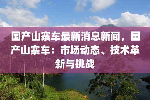 國產(chǎn)山寨車最新消息新聞，國產(chǎn)山寨車：市場(chǎng)動(dòng)態(tài)、技術(shù)革新與挑戰(zhàn)