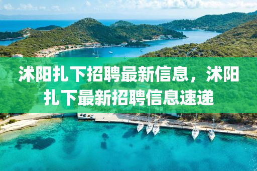 沭陽扎下招聘最新信息，沭陽扎下最新招聘信息速遞