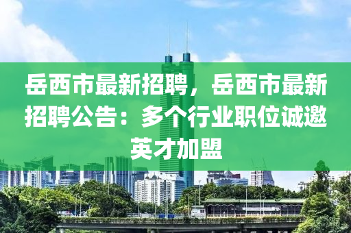 岳西市最新招聘，岳西市最新招聘公告：多個行業(yè)職位誠邀英才加盟