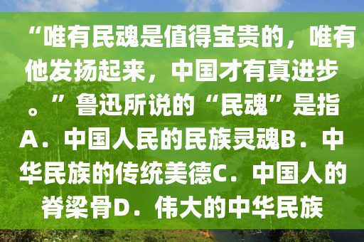 “唯有民魂是值得寶貴的，唯有他發(fā)揚起來，中國才有真進步。”魯迅所說的“民魂”是指A．中國人民的民族靈魂B．中華民族的傳統(tǒng)美德C．中國人的脊梁骨D．偉大的中華民族